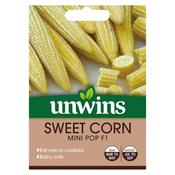 Sweet Corn Mini Pop F1