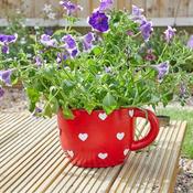 Teacup Heart Planter image