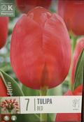 TUL RED x7 image