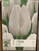 TUL WHITE x7 image