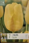 TUL YELLOW x7 image