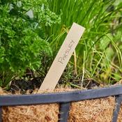 15cm Wooden Plant Labels 20pk FSC1