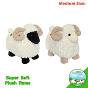 Plush Rams (M) image