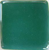 UG37 Holly Green CTM 100ml image