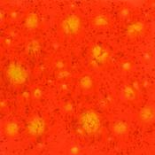 Wildfire image