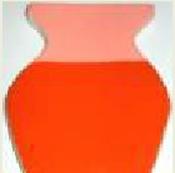 Bright Orange Stain 500g