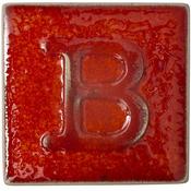 9607 Coral Red 200ml image