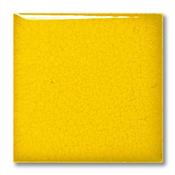 5031 Orangina Gloss 200ml image