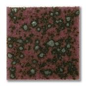 5206 Speckled Clematis 200ml image