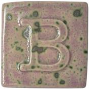 9517 Scotch Heather 200ml image