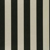 Clarke &amp; Clarke Nevis Ebony Colony Wallpaper image