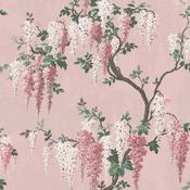 Wisteria Pink Bloom Wallpaper image
