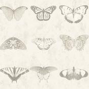 Woodchip &amp; Magnolia Lepidoptera Magnolia Wallpaper