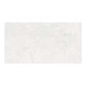 Dixon Noce Natural Porcelain Tile 32 x 59cm image