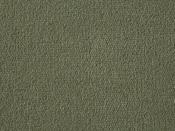 Exquisite Velvet Asparagus Carpet - DesignEmporium