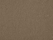 Exquisite Velvet Fawn Carpet - DesignEmporium