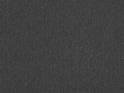 Exquisite Velvet Platinum Carpet - DesignEmporium
