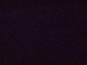 Exquisite Velvet Poison Carpet - DesignEmporium