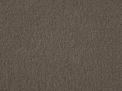 Exquisite Velvet Praline Carpet - DesignEmporium