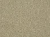Exquisite Velvet Sandstone Carpet - DesignEmporium