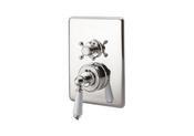Concealed Dual Control Thermostatic Valve - 2 Outlets, Nickel - DesignEmporium
