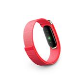 Google Fitbit Air 17MM Smart Watch - Berry | 79-GA11016-EU
