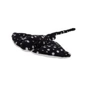 RePETs - Spotted Ray