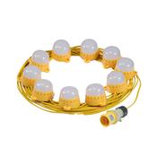 LED Festoon Kit - 50M image