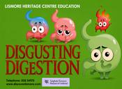Classroom Box - Disgusting Digestion