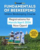 Fundamentals of Beekeeping Online Course