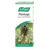 A Vogel Plantago Lanceolata Lance Leaf 50ml