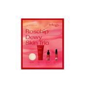 Trilogy Rosehip Dewy Skin Trio Set image