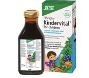 Floradix Kindervital Liquid Vitamin Formula 250ml image