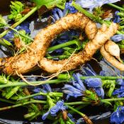 Marshmallow Root (Althaea officinalis) – 100g PEELED