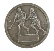Camogie Wall Plaque (Medium) - CE7 | Druid Craft