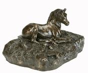 Foal | Druid Craft