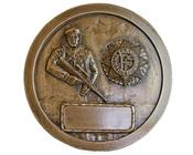 Irish Army Wall Plaque - IS19 | Druid Craft