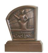 Gael Linn Award | Druid Craft image