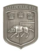 Ballincollig Rugby Football Club - CW8 | Druid Craft