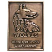 University Limerick Clubs &amp; Societies | Druid Craft
