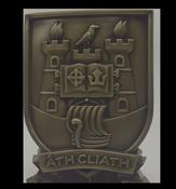 Dublin City Plaque - CW49 | Druid Craft