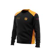 Ashford GAA - Ladies Crew neck image