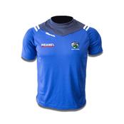 Laois LGFA - Volt T-Shirt image