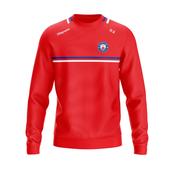 Na Gaeil Nua - Crew Neck image