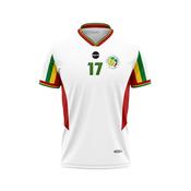 Senegal 02' - Retro range image