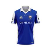 Retro Jersey - Laois 03 image