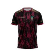 Piarsaigh Na Dromoda - jersey 2