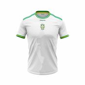 Crettyard GAA - White Training Jersey image