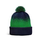 Arctic Beanie - Navy / Green