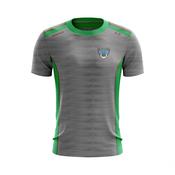 Portarlington Hurling - T-Shirt image